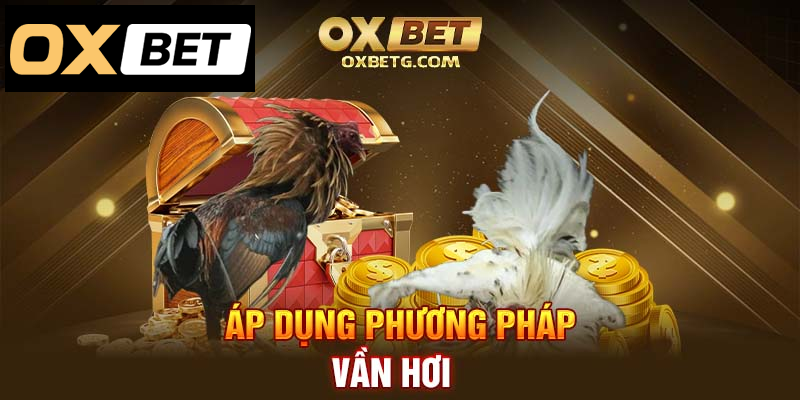 Vận dụng phương pháp vần hơi: Nâng cao sức bền gà