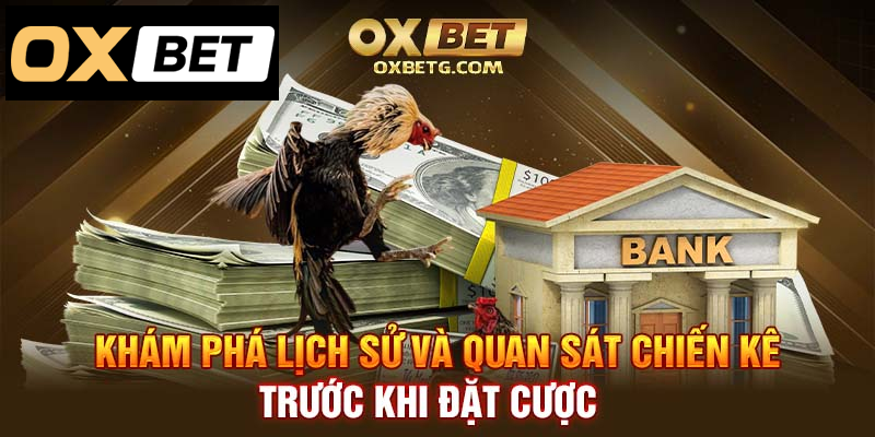 Quan sát chiến kê, khám phá lịch sử trước cược đấu