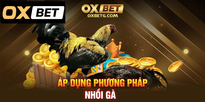 Nhồi gà: Kỹ thuật rèn luyện tăng cường sức mạnh