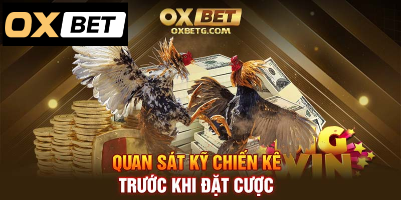 Kỹ thuật quan sát chiến kê, quyết định cược thông minh