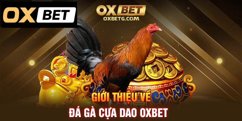 Đá gà cựa dao Oxbet: Trải nghiệm độc đáo và hấp dẫn