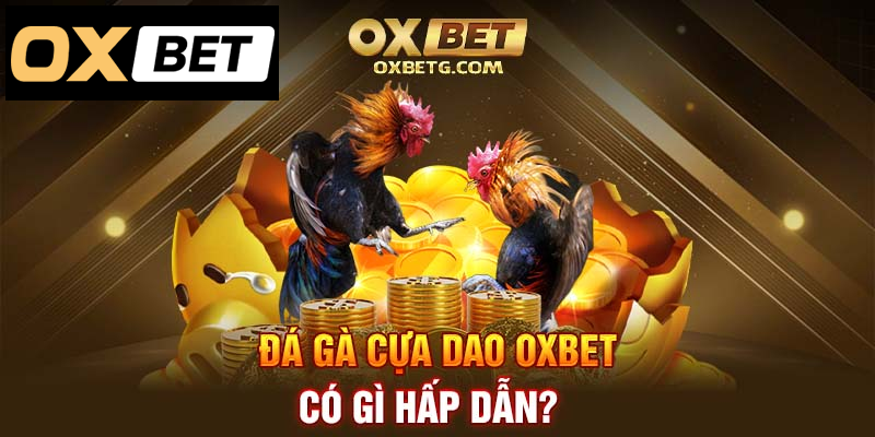 Khám phá sức hút độc đáo của đá gà cựa dao Oxbet