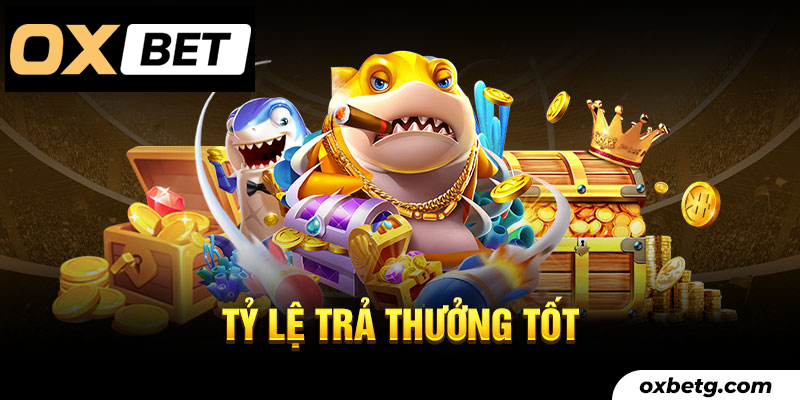 Tỷ lệ trả thưởng Oxbet cao vượt trội, cơ hội thắng lớn