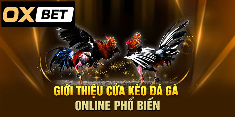 Giới thiệu cửa kèo đá gà online phổ biến và hấp dẫn