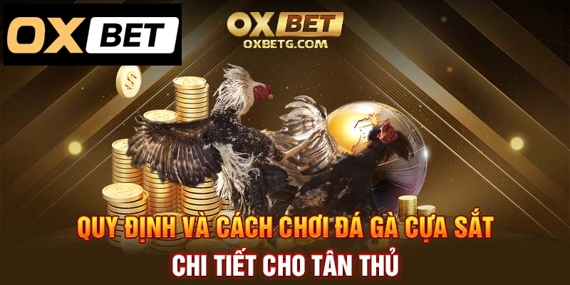 Quy định và hướng dẫn chơi đá gà cựa sắt cho người mới