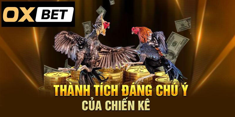 Thành tích ấn tượng, đáng chú ý trong lịch sử của chiến kê