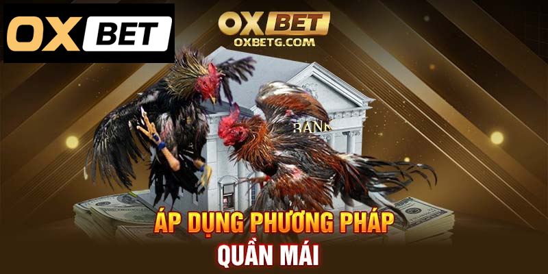 Áp dụng quần mái: Bí quyết hiệu quả trong rèn luyện