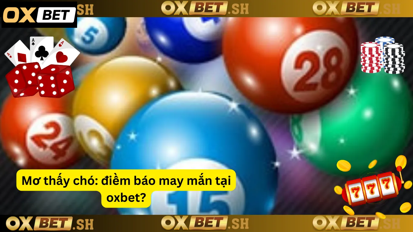 Mơ thấy chó_ điềm báo may mắn tại oxbet