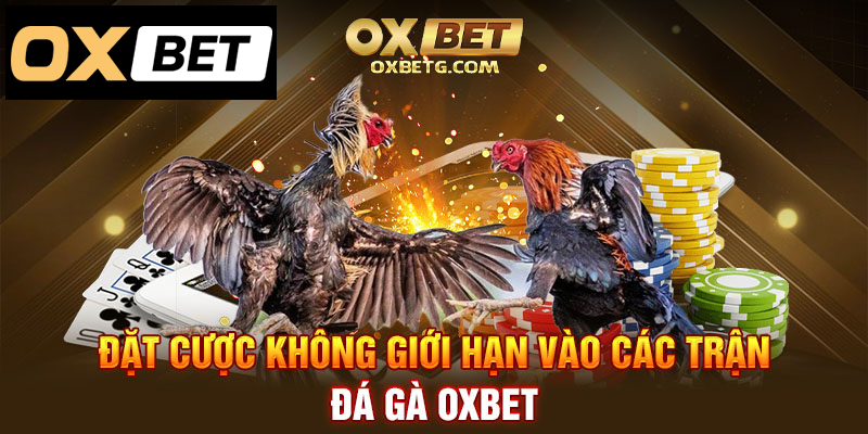 Đặt cược không giới hạn tại đá gà oxbet