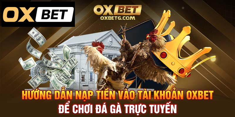 Hướng dẫn nạp tiền vào Oxbet để tham gia đá gà