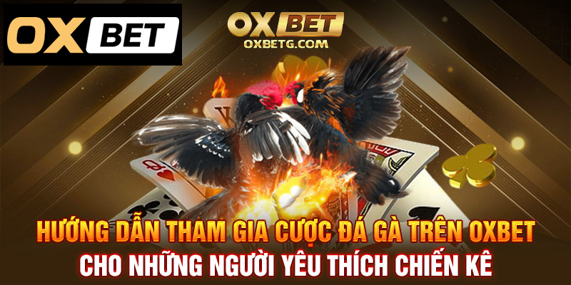 Hướng dẫn tham gia cược đá gà tại Oxbet