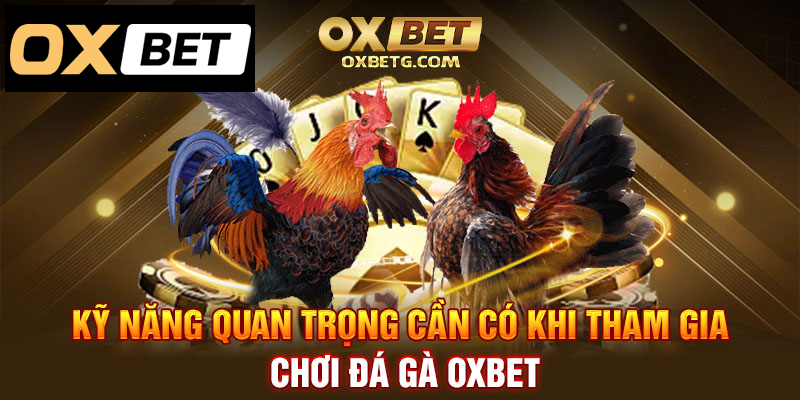 Những kĩ năng quan trọng khi tham gia đá gà