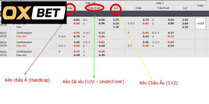 processed mot so thong tin ve cach choi ca cuoc bong da